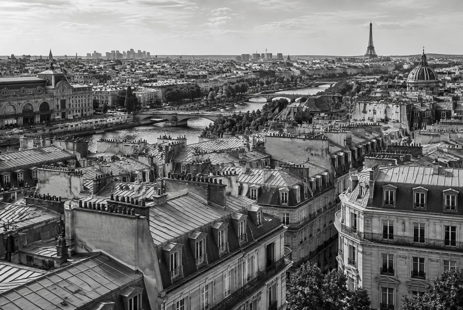 Vue en noir et blanc des toits de Paris et de la Seine depuis les hauteurs